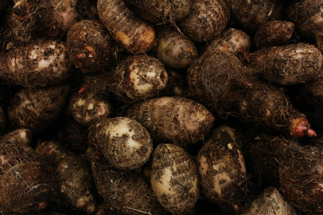 Can Dogs Eat Yams? What You Need to Know About Sweet Potatoes vs. Yams
