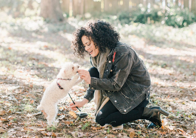 How To Give CBD Oil To Dogs