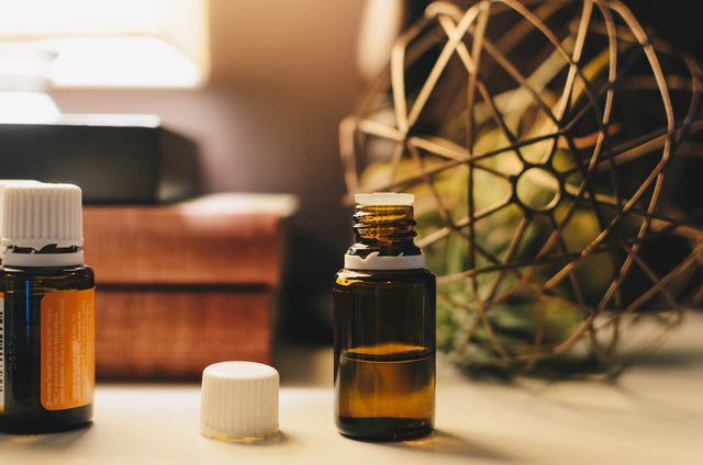 Hemp Seed Oil vs. CBD Oil for Dogs: What's the Difference?