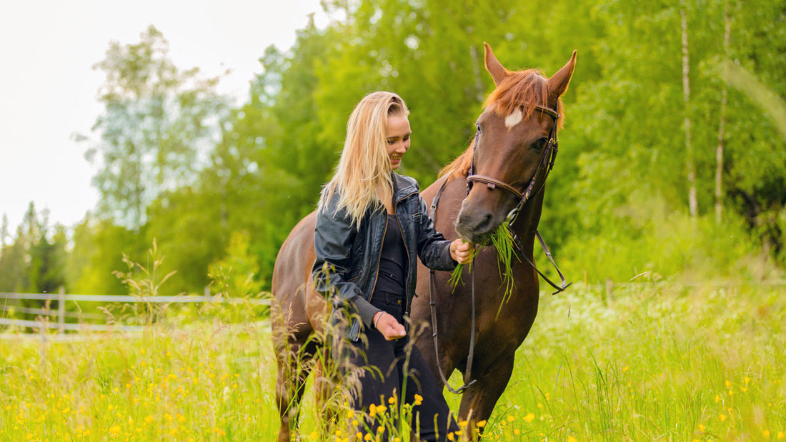 Is CBD OK for Horses To Use?