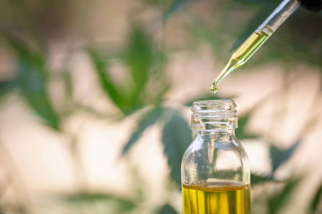 Does CBD Oil Need To Be Refrigerated: Finding the Best Temperature