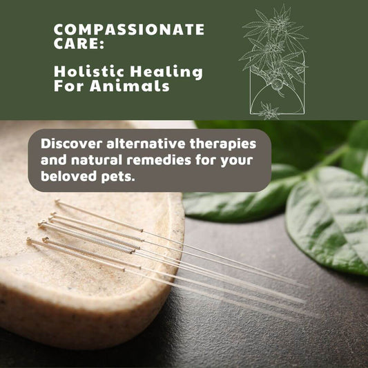Unlocking the Potential of Holistic Pet Care