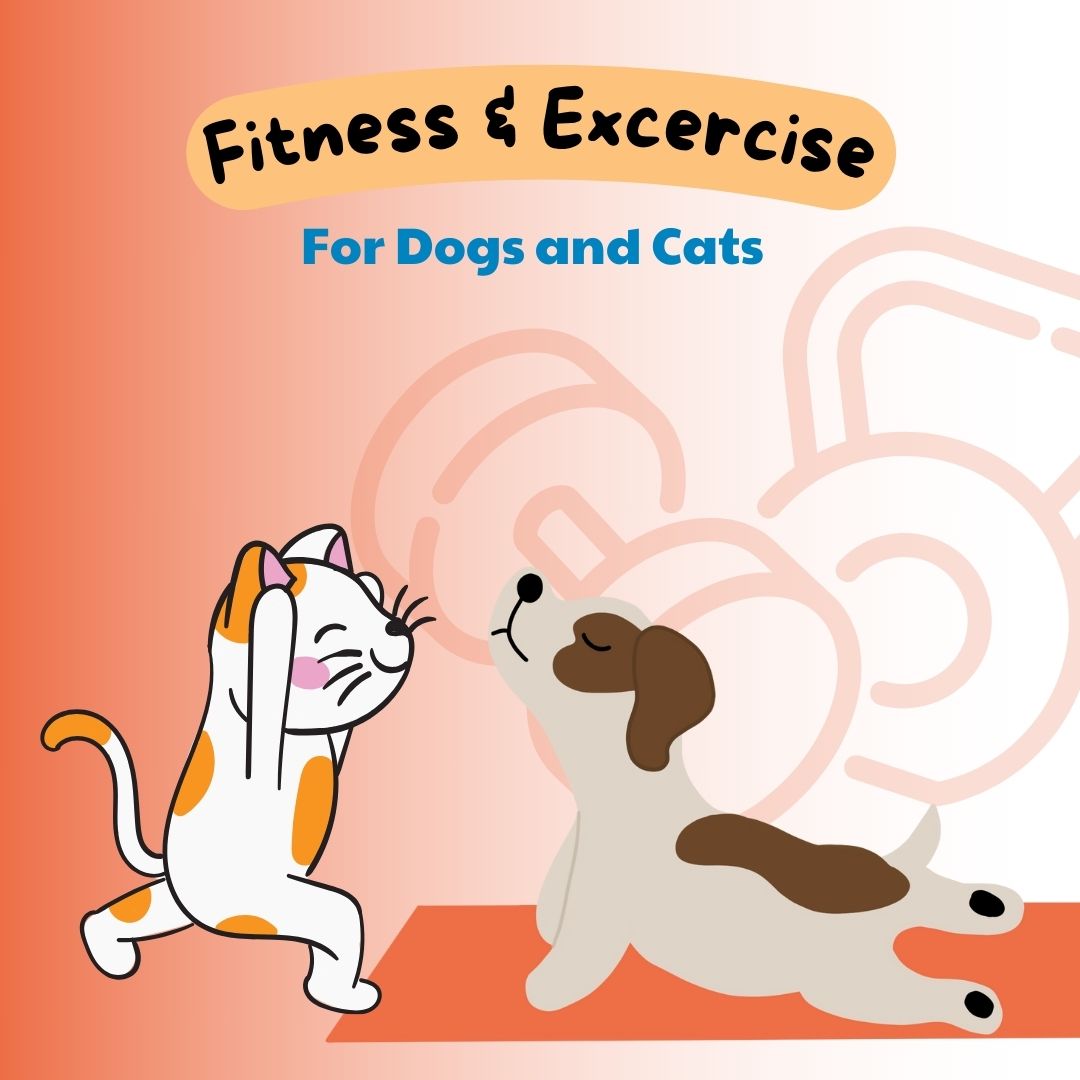 Paws and Claws: Unleashing Vitality Through Pet Fitness and Wellness Adventures