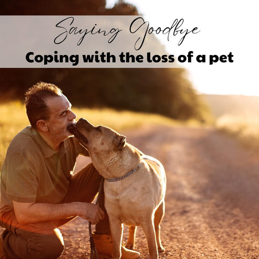 Healing Hearts: Coping with the Loss of a Beloved Pet