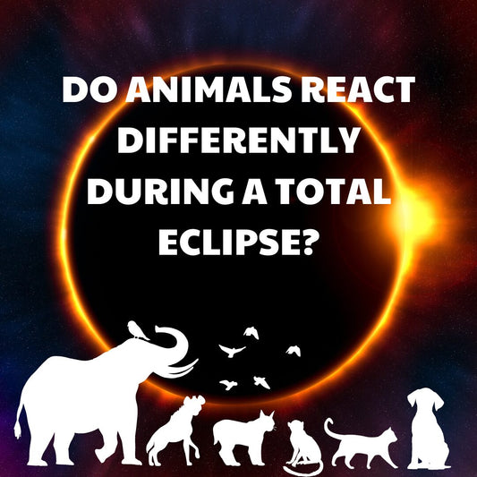 Exploring Celestial Changes: How They Influence Animal Behavior