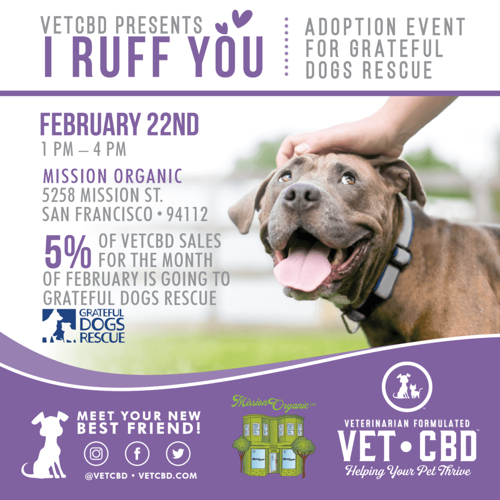 Adoption Event For Grateful Dogs Rescue