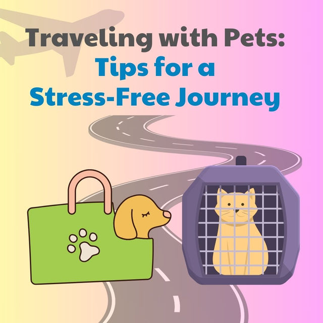 Your Comprehensive Guide to Stress-Free Traveling with Pets