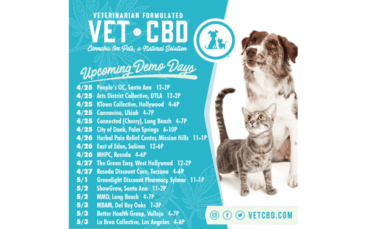 UPCOMING DEMO DAYS