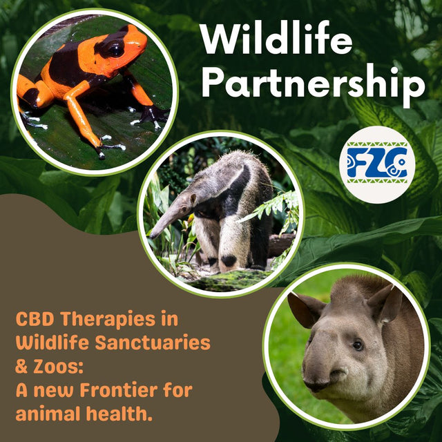 CBD and Cannabis in Zoos and Wildlife Sanctuaries: What the Science Is Showing