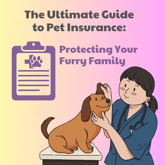 The Ultimate Guide to Pet Insurance: Protecting Your Furry Family
