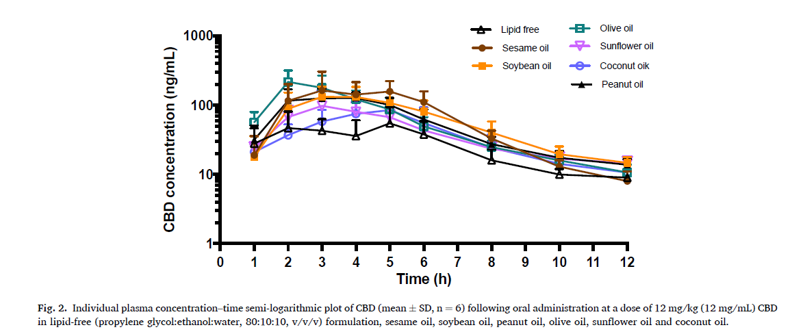 Why the Carrier Oil in Your Pet's CBD Matters More Than You Think