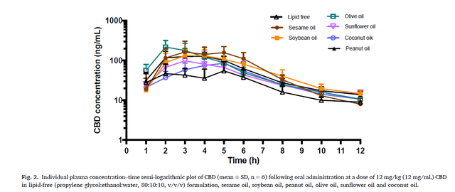 Why the Carrier Oil in Your Pet's CBD Matters More Than You Think