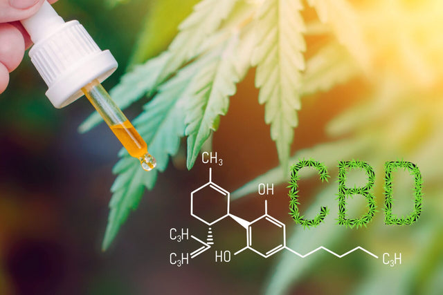 What Is CBD: The Ultimate Beginners Guide