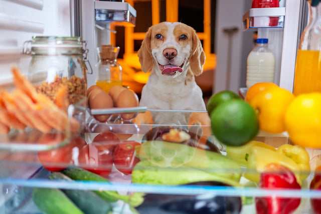 What Vegetables Can Dogs Eat? A Vet's Guide to Safe Choices