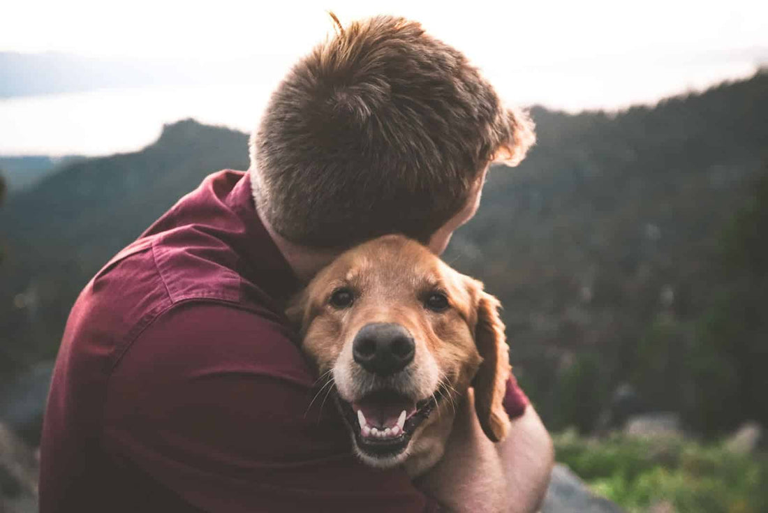 Holistic Pet Care: 3 Tips Your Animal Will Thank You For
