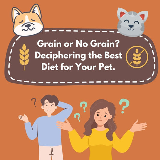 Grain or No Grain? Deciphering the Best Diet for Your Pet