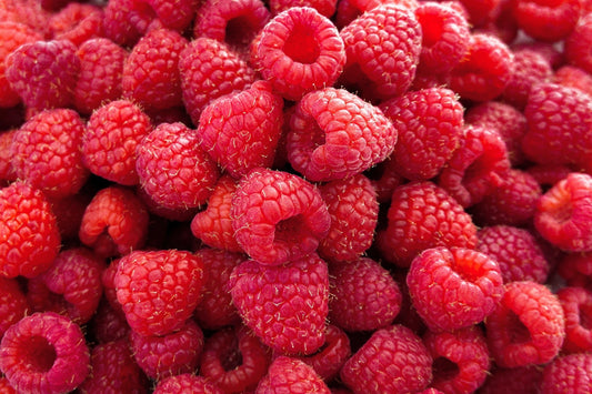 Can Dogs Eat Raspberries?