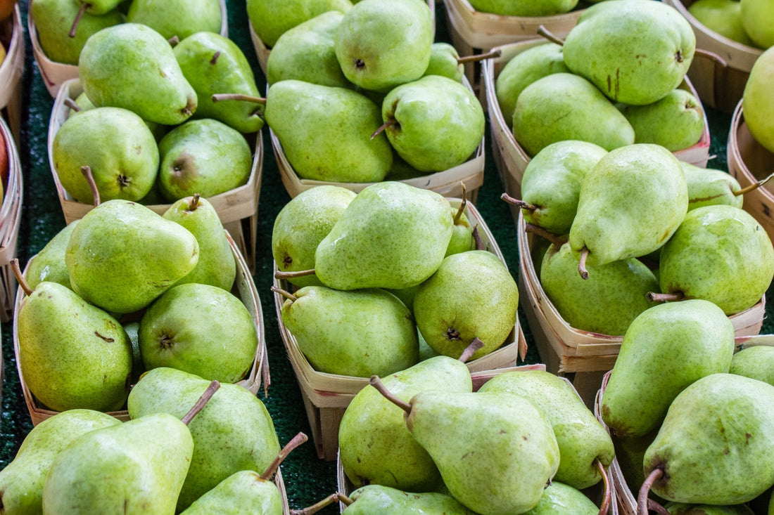 Can Dogs Eat Pear? What Happens If They Do?