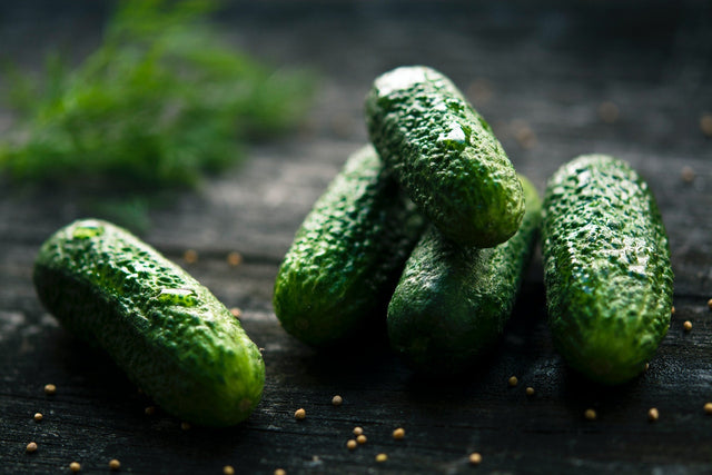 Can Dogs Eat Pickles? What to Know Before You Share