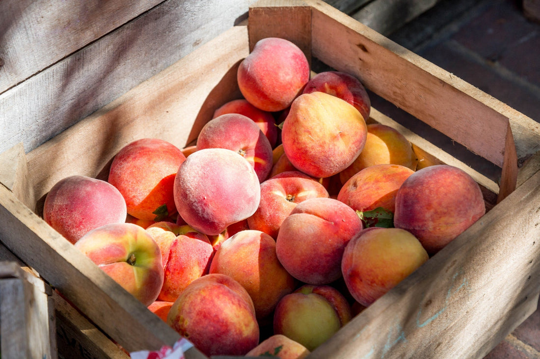 Can Dogs Have Peach?
