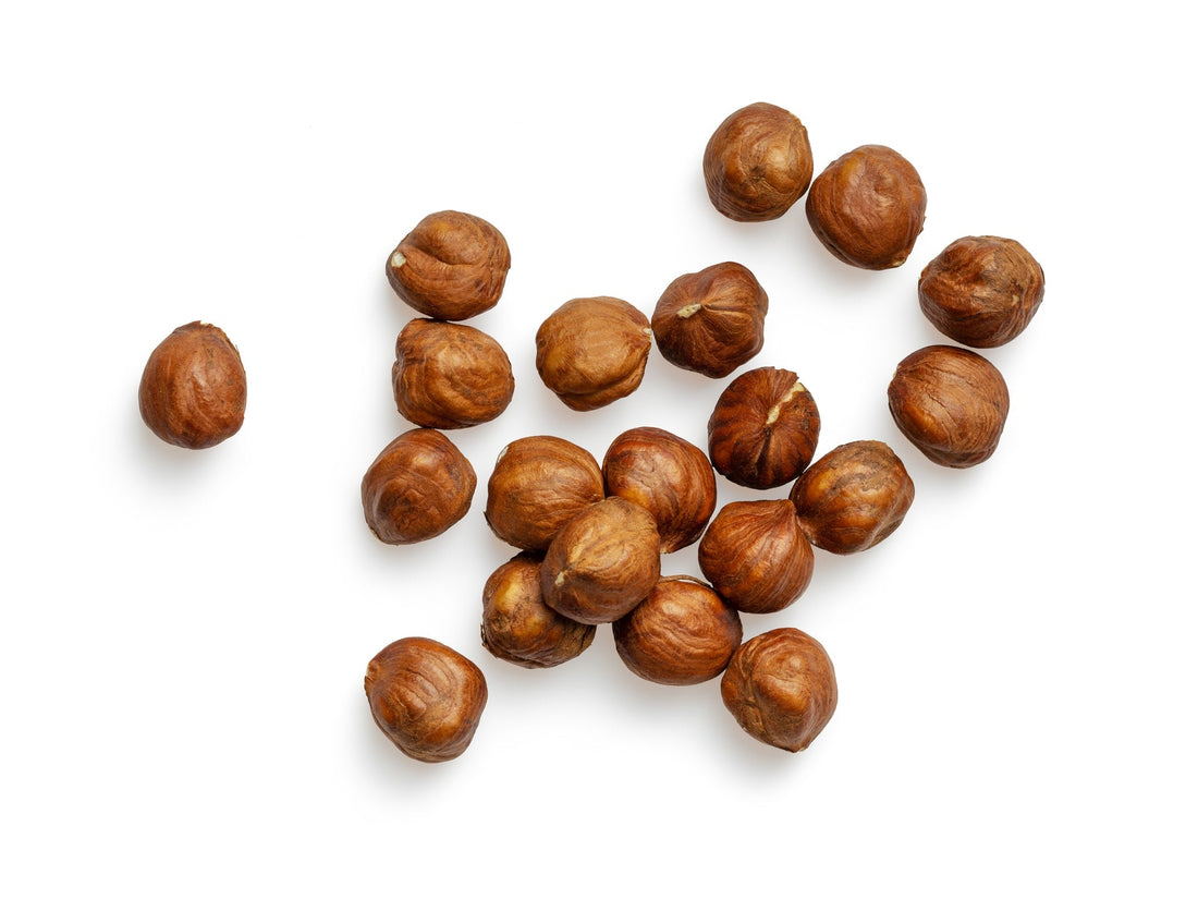 Can Dogs Eat Hazelnuts?