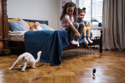 5 Best Cat Toys of 2021