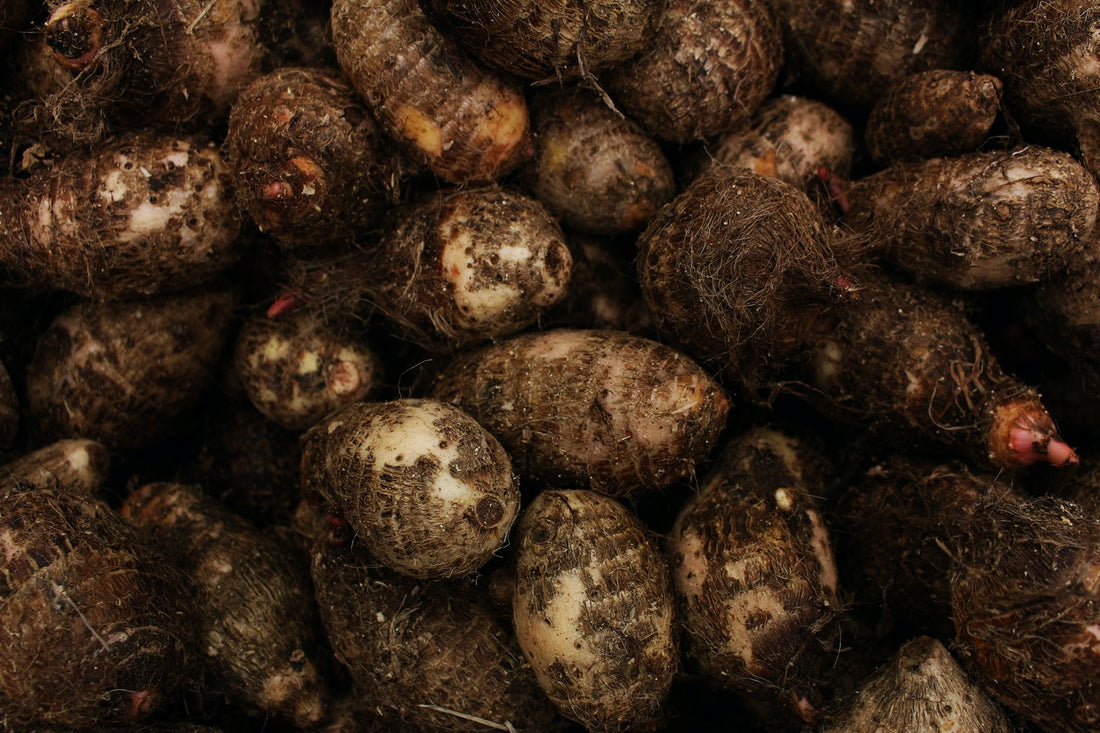 Can Dogs Eat Yams and What Will Happen If They Do?