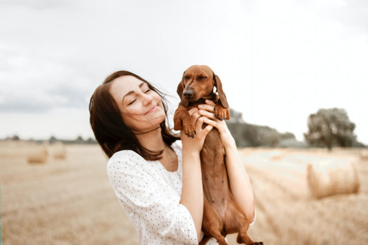 Back Pain in Dogs: How To Make It Stop