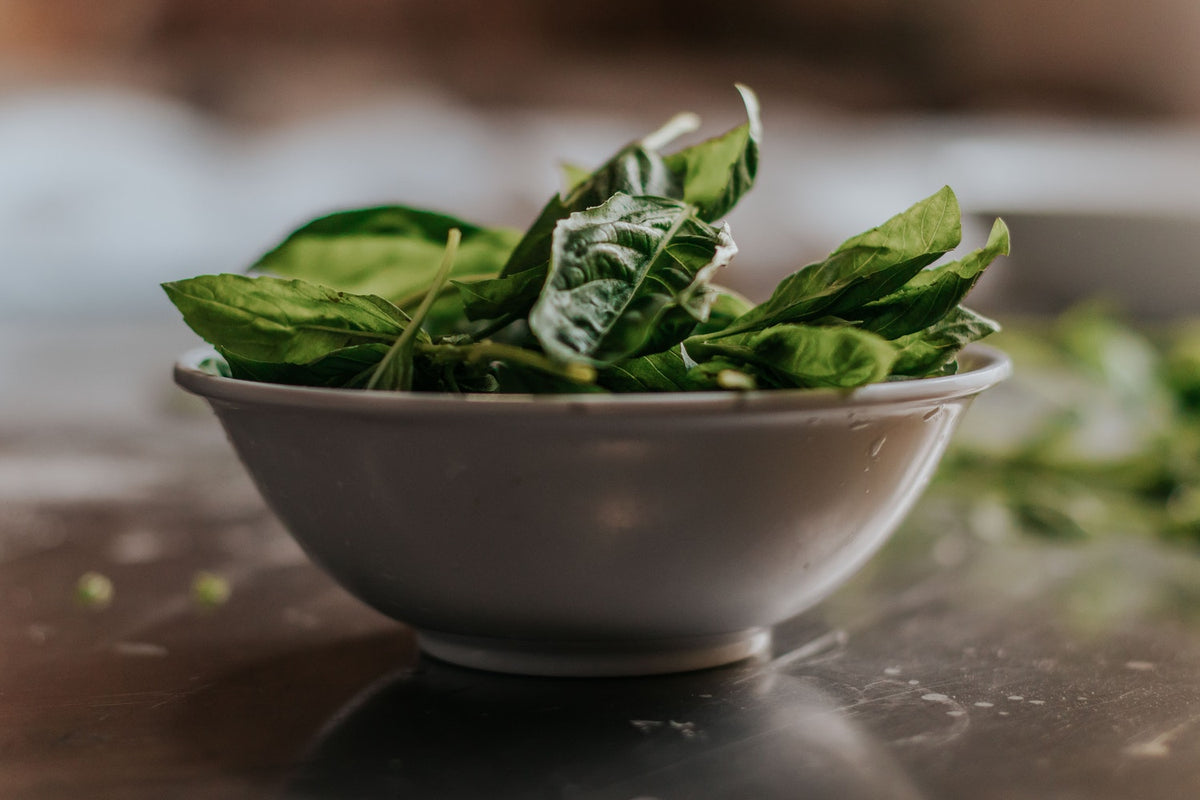 Can Dogs Eat Spinach? A Vet's Guide to Leafy Greens for Dogs