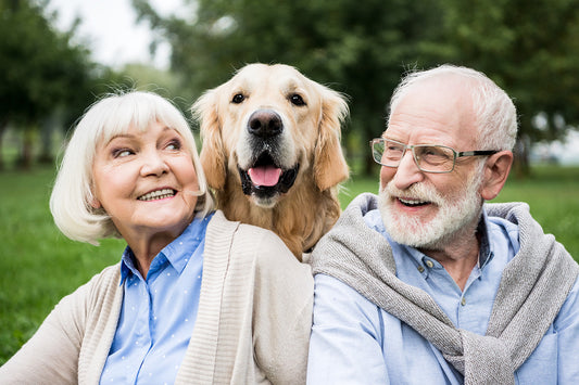 When Is a Dog Considered a Senior?