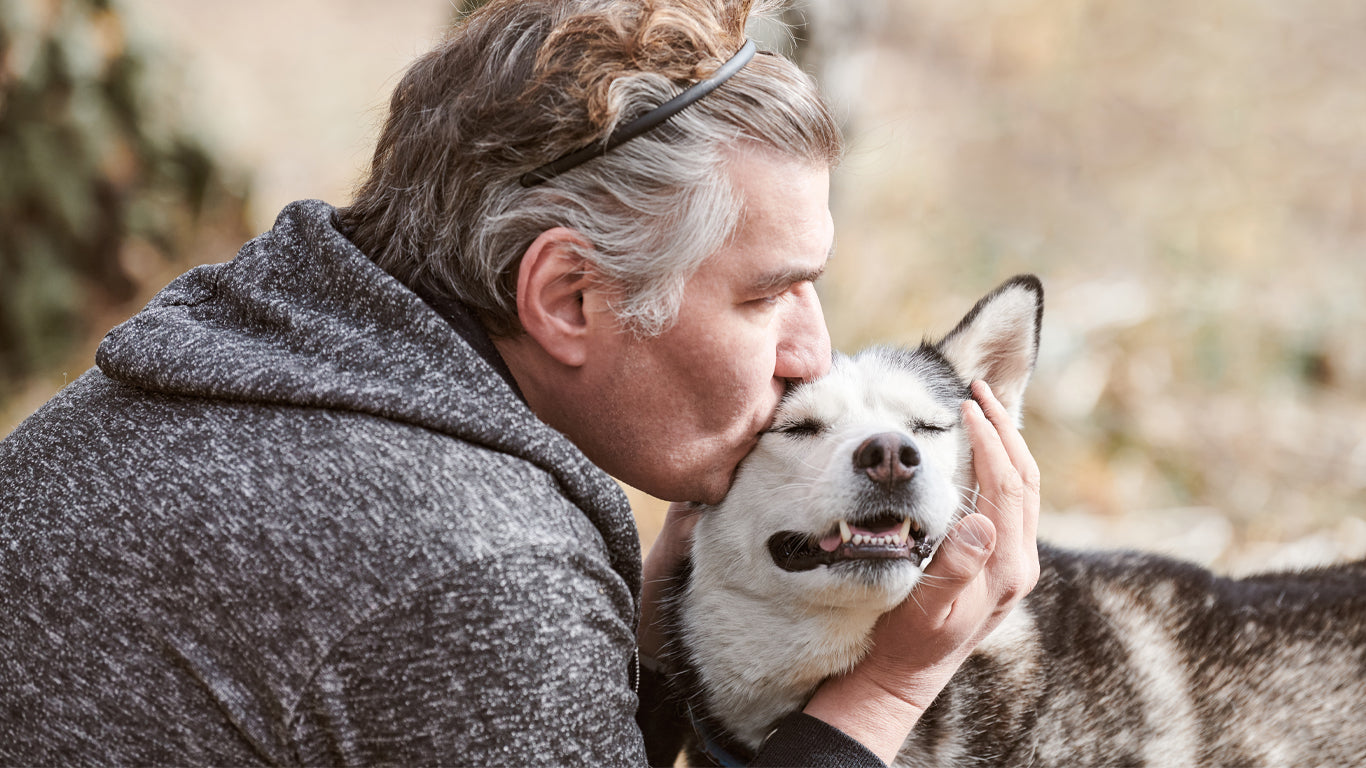 CBD for Senior Dogs: Supporting Comfort and Mobility in Their Golden Years