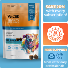 CBD Mobility Chews for Dogs