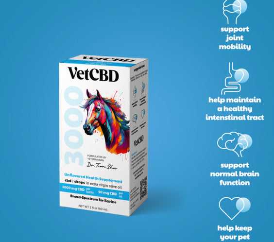 CBD Tincture for Equines