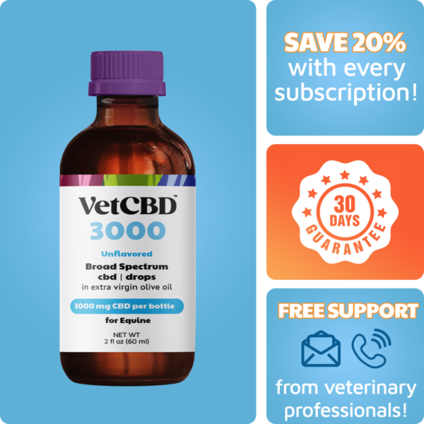 CBD Tincture for Equines