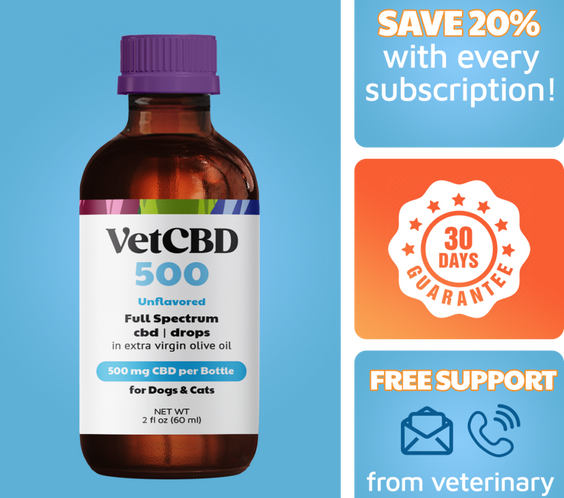 Standard Formula CBD Tinctures for Dogs & Cats