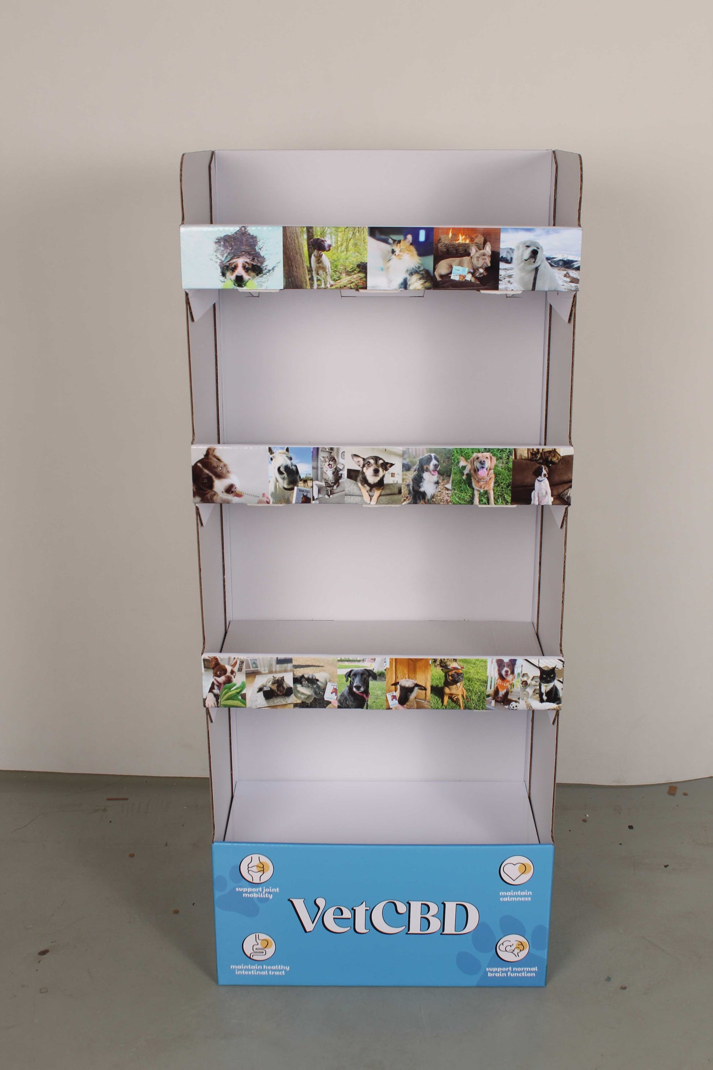 Floor Display (Stand-Alone)
