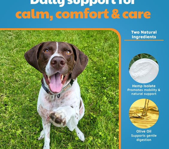 Standard Formula CBD Tinctures for Dogs & Cats