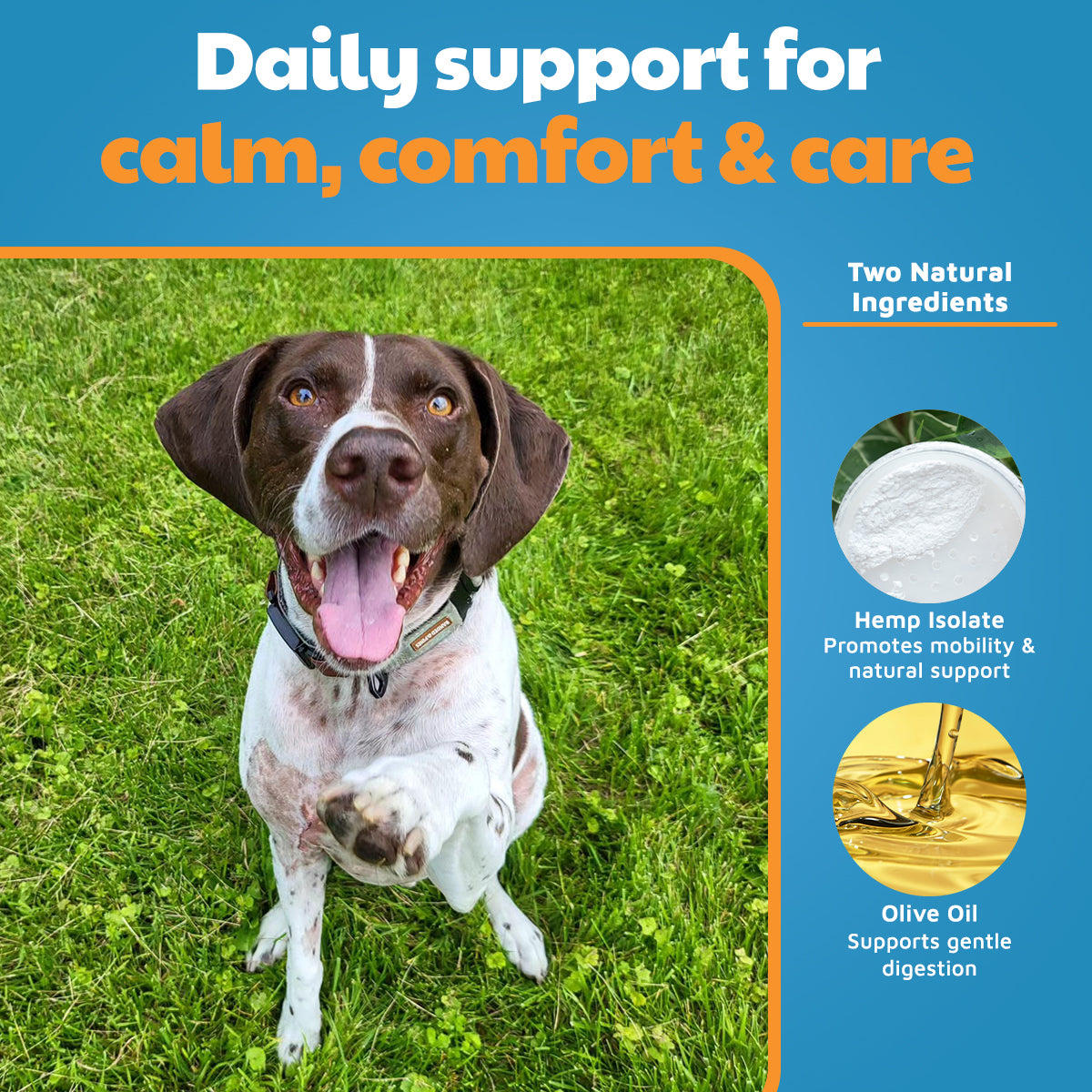Standard Formula CBD Tinctures for Dogs & Cats