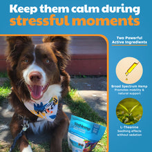 VetHemp Calming Chews for Dogs