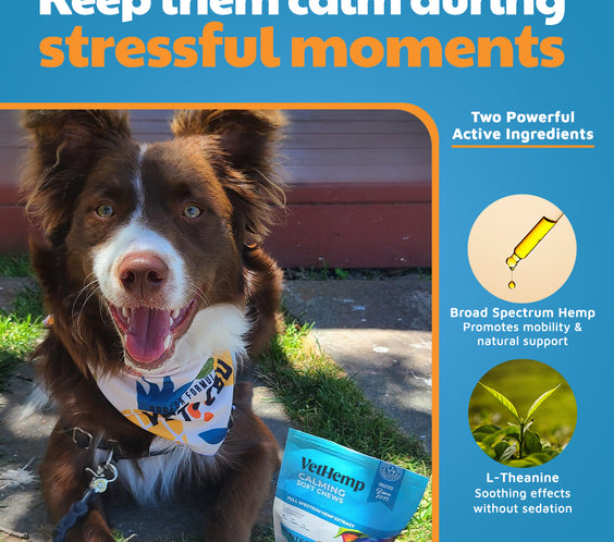 VetHemp Calming Chews for Dogs