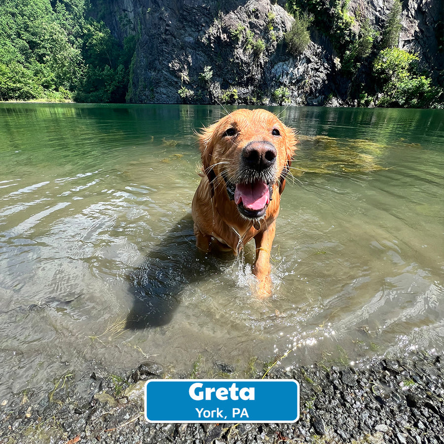 Travel & Vet Visits