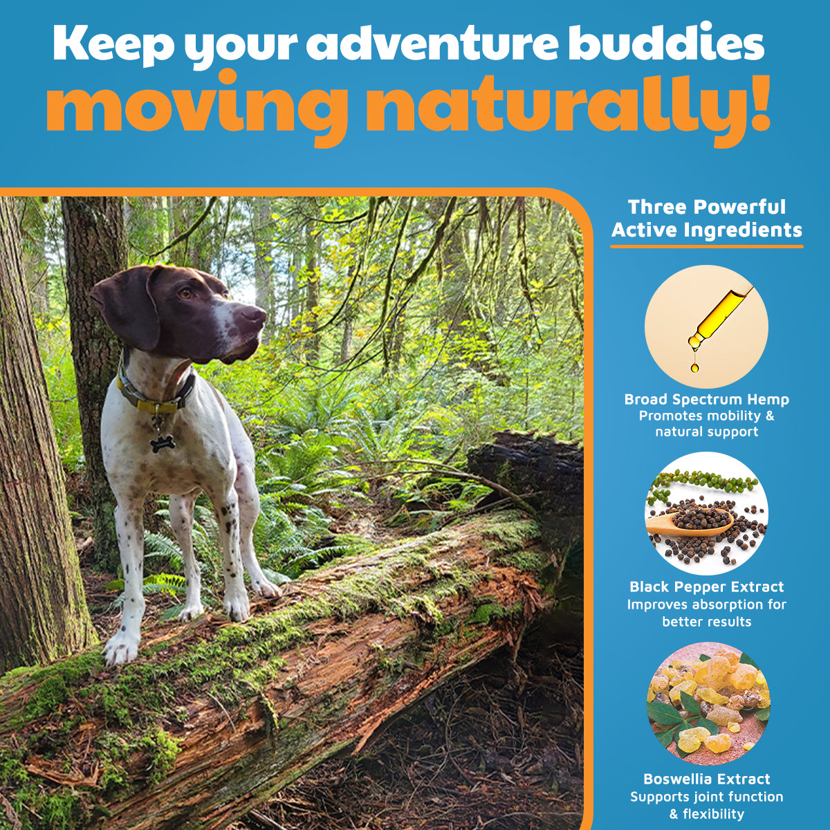 VetHemp Mobility Chews for Dogs
