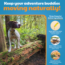 VetHemp Mobility Chews for Dogs