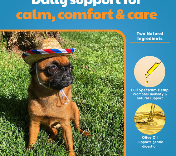 VetHemp Standard Formula Tinctures for Dogs & Cats