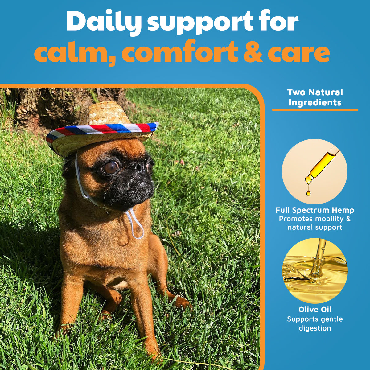 VetHemp Standard Formula Tinctures for Dogs & Cats