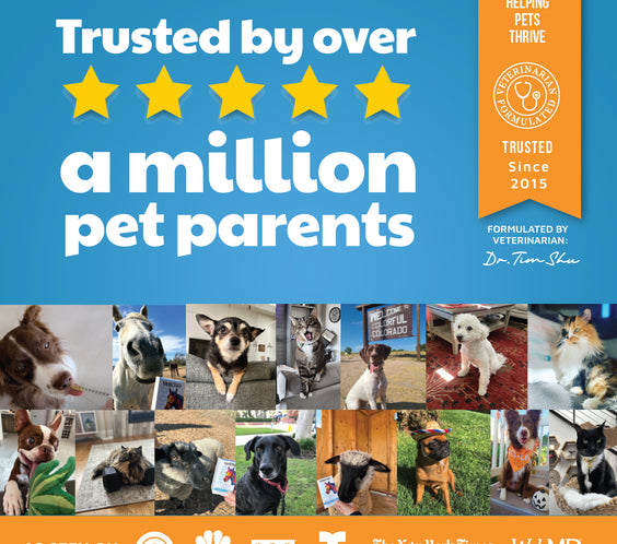 VetHemp Calming Chews for Dogs