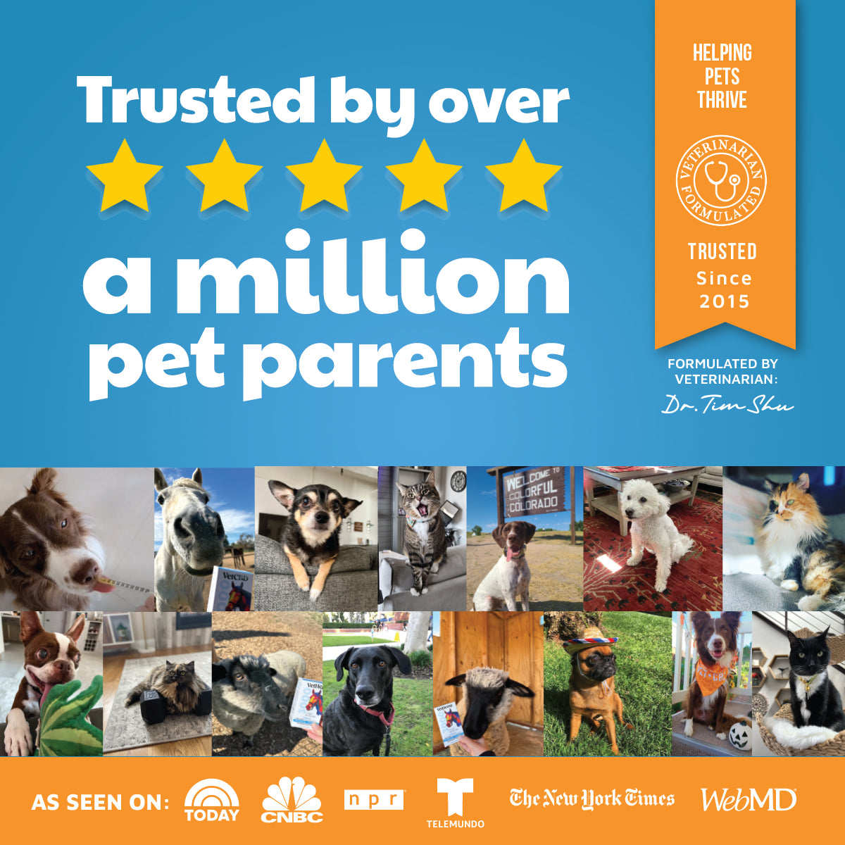 VetHemp Mobility Chews for Dogs