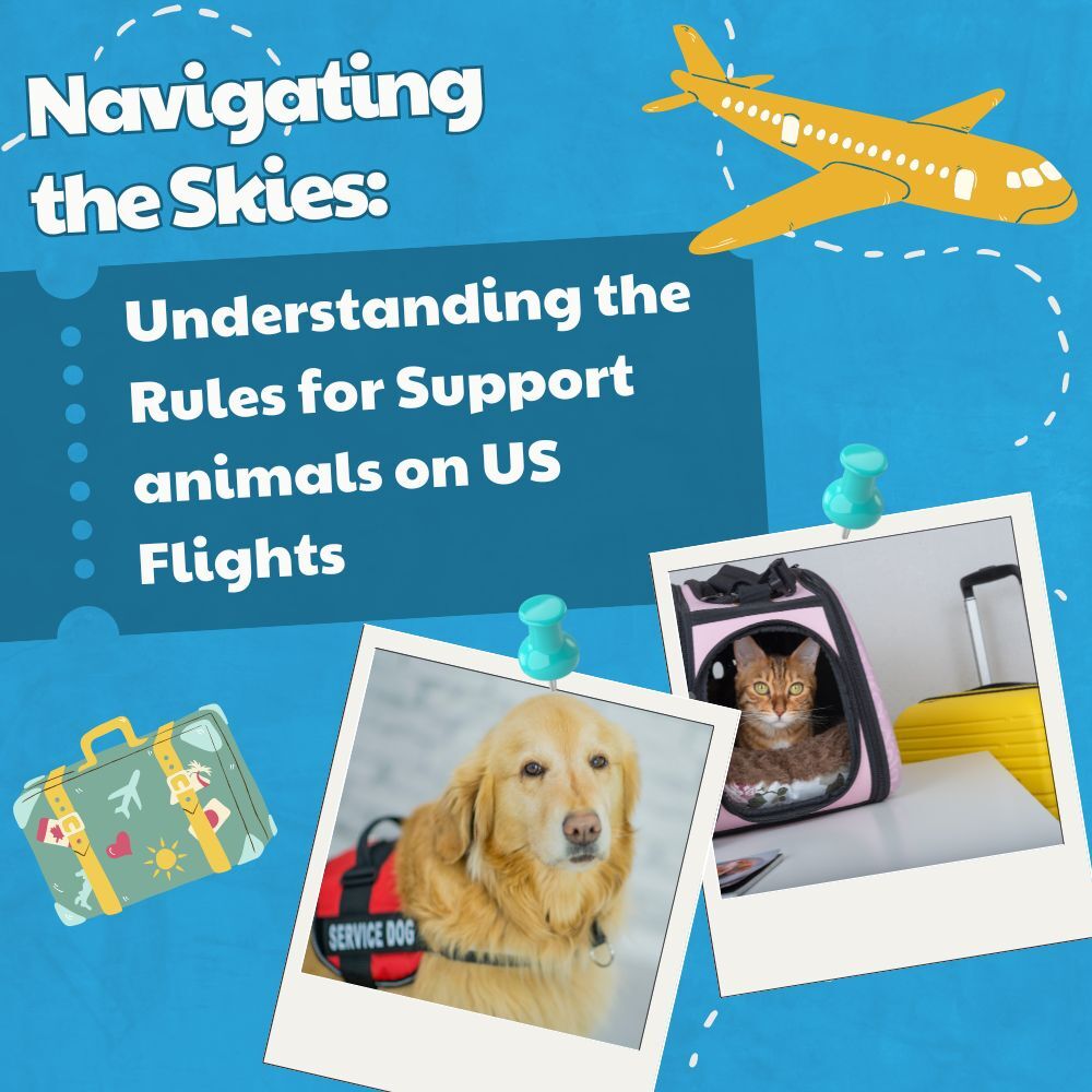 Navigating the Skies: Understanding the Rules for Support Animals on US Flights