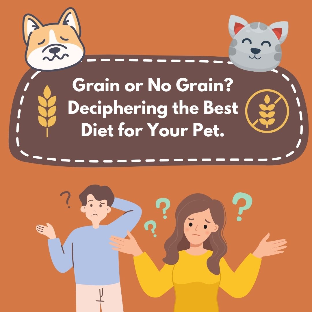Grain or No Grain? Deciphering the Best Diet for Your Pet