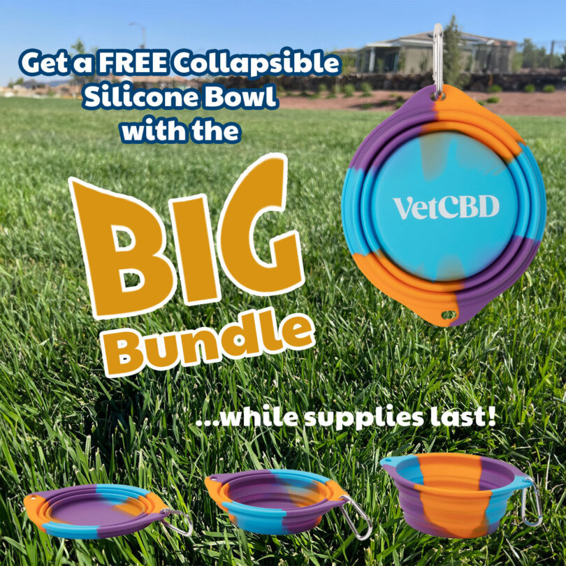 Big Bundle Promo